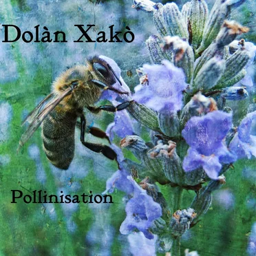 Pollinisation