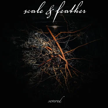 Scale & Feather