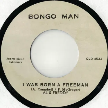 I Was Born A Freeman by The New Establishment - album cover