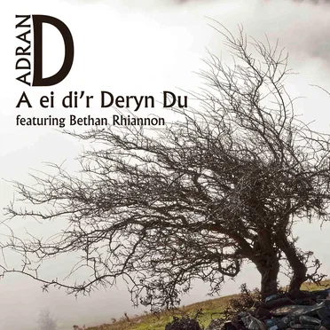 A ei di'r Deryn Du