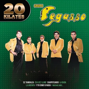 20 kilates by Grupo Pegasso - album cover