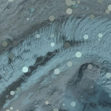 Freedom Concept by The Accountant - album cover