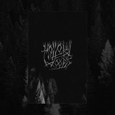 Endless Trails by Hollow Woods - album cover