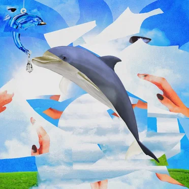 Crystal Dolphin
