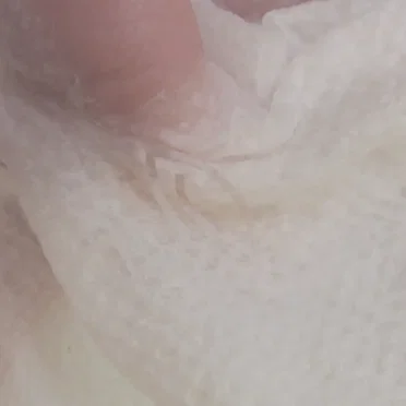 Freshmelt