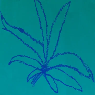 420 by 420 - album cover