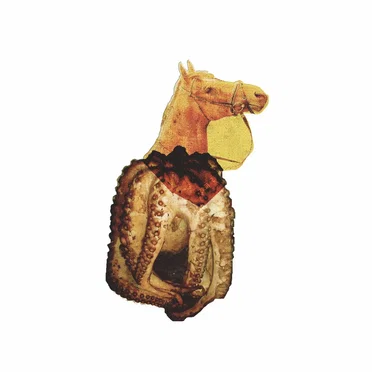 Sea horse by Allfits - album cover