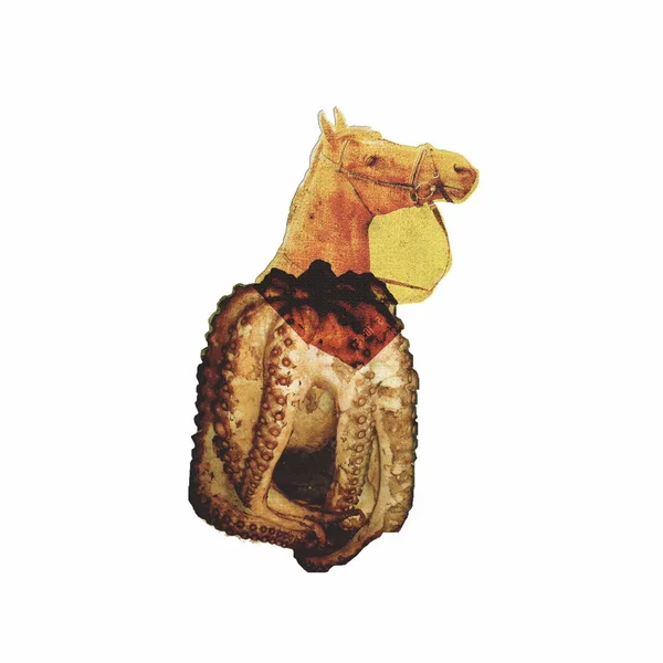Sea horse