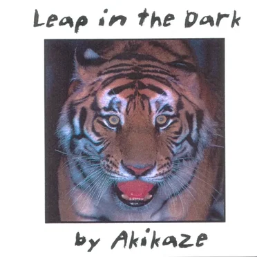 Leap in the Dark by Akikaze - album cover
