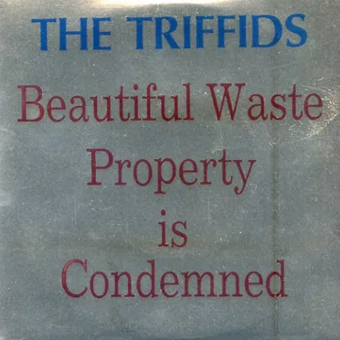 Beautiful Waste