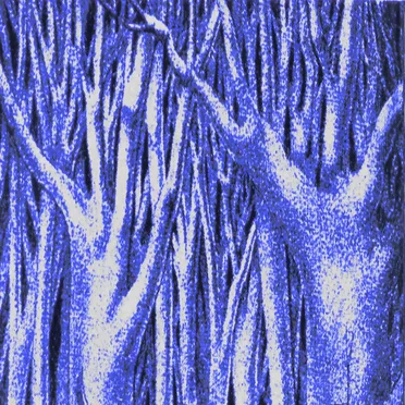Gestations of the Orb by deadshrine - album cover