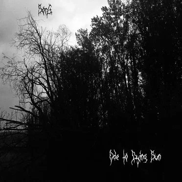 Ode to Dying Sun by Sorg - album cover
