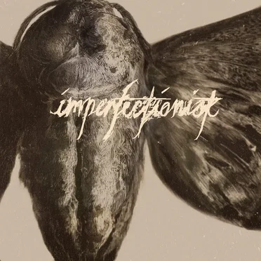 Chrysalis