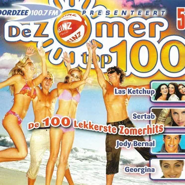 De zomer Top 100 by Various Artists - album cover