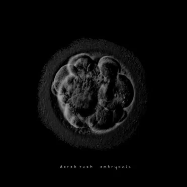 Embryonic by Derek Rush - album cover