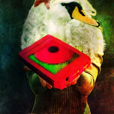 8 Tracks by Torley - album cover