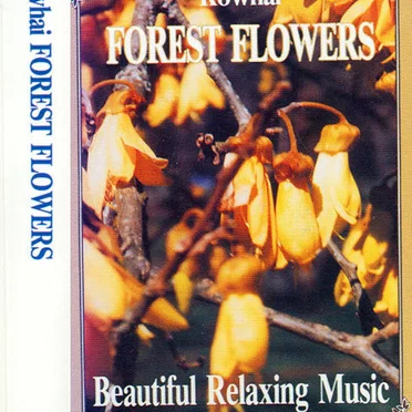 Kowhai: Forest Flowers