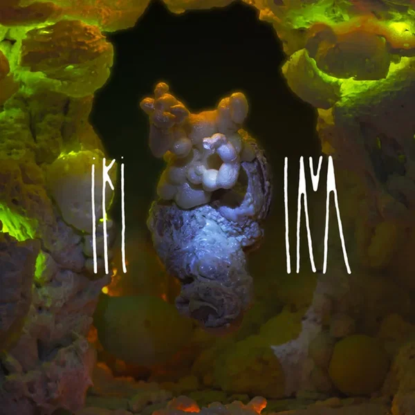 Lava