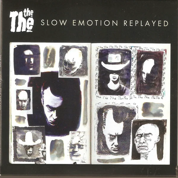 Slow Emotion Replayed