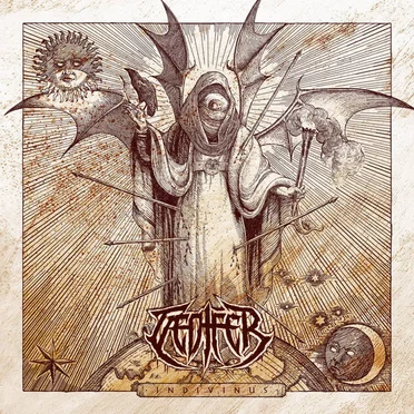 Taedifer