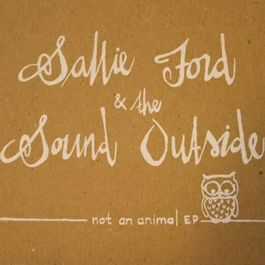 Not an Animal by Sallie Ford & The Sound Outside - album cover