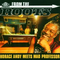 Horace Andy artist image