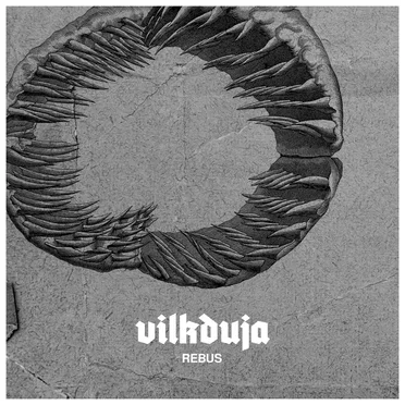 Rebus by Vilkduja - album cover