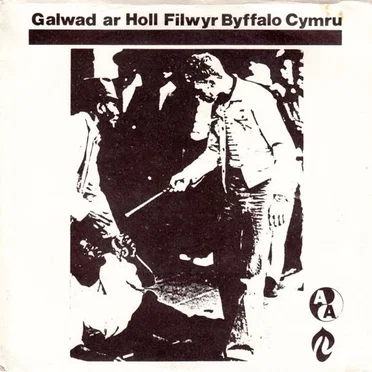 Galwad Ar Holl Filwyr Byffalo Cymru by Amrywiol - album cover