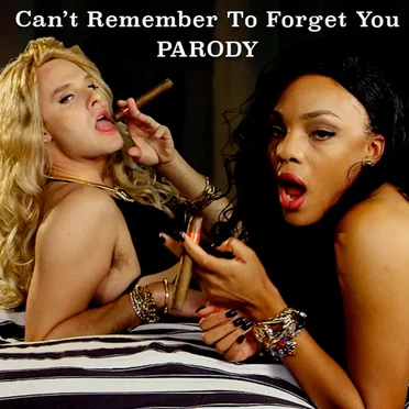 Can’t Remember to Forget You Parody