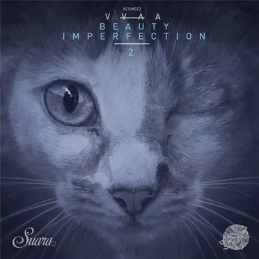Beauty Imperfection 2 by Various Artists - album cover