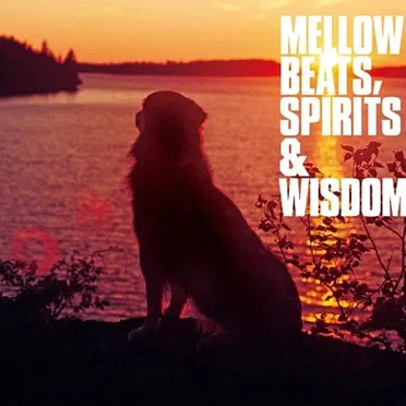 Mellow Beats, Spirits & Wisdom by Various Artists - album cover
