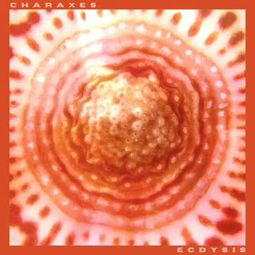 Ecdysis by Charaxes - album cover