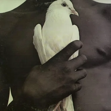 Santana’s Greatest Hits