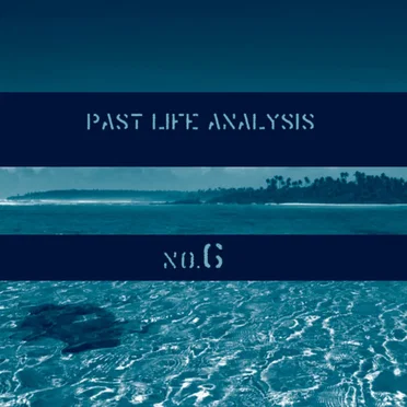 Past Life Analysis 6 by Various Artists - album cover