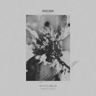Succubus by Various Artists - album cover