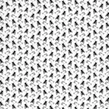 Two Flies in One Clap by Itches - album cover
