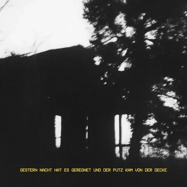 Gestern Nacht hat es geregnet und der Putz kam von der Decke by Der Kolibri - album cover