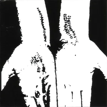 Collection 2005-2007