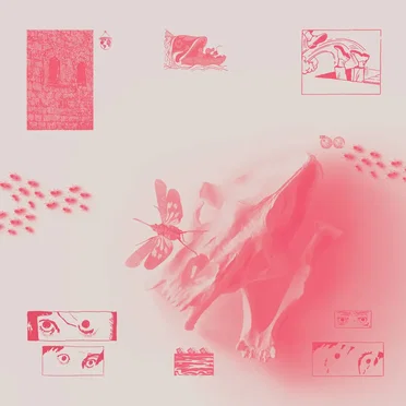 Cicada by Lixo - album cover