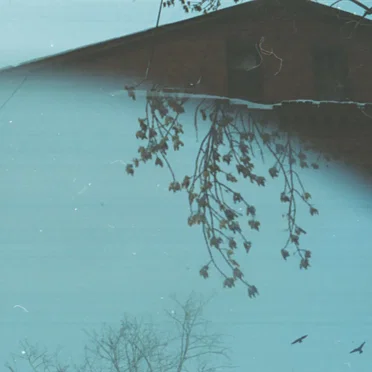 Illness Brings Understanding