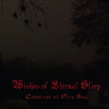 Emptiness of One's Soul by Wishes of Eternal Sleep - album cover