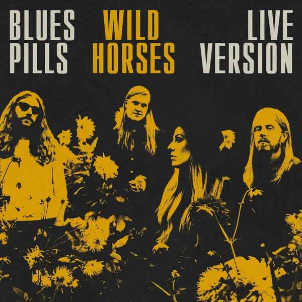 Wild Horses (Live)