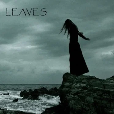 While the Light Continues Spinning by Leaves - album cover