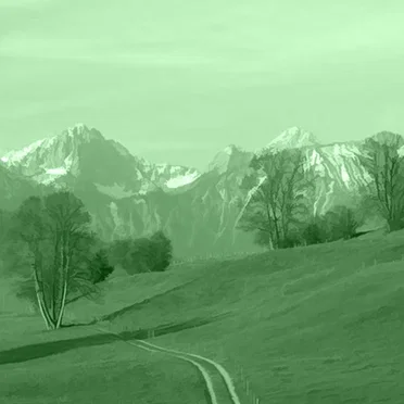 GREEN 6 by Elio Varesse - album cover
