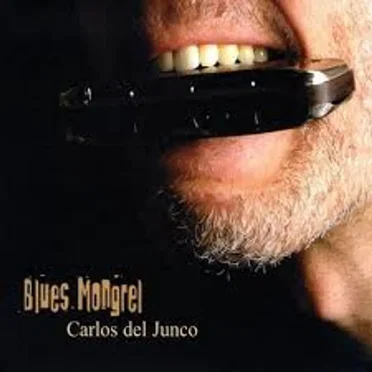 Blues Mongrel