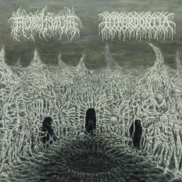 Mortiferum / Hyperdontia