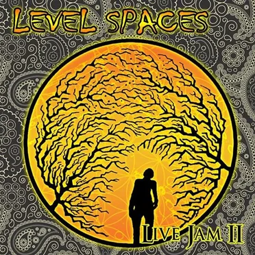 Live Jam II by Level Spaces - album cover