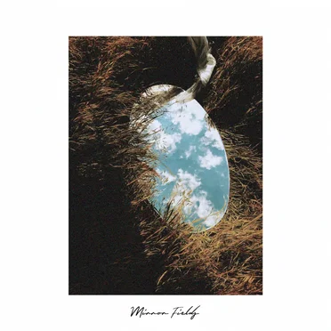 Mirror Fields