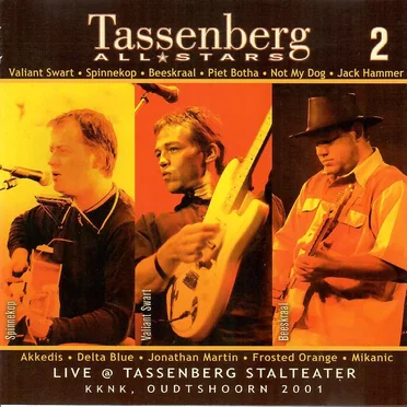 Tassenberg All Stars 2 by Various Artists - album cover