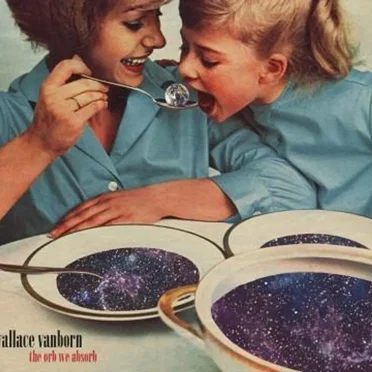 The Orb We Absorb by Wallace Vanborn - album cover